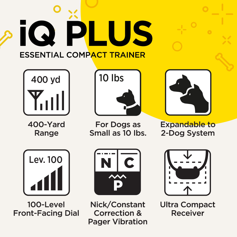 Iq plus shop dog collar