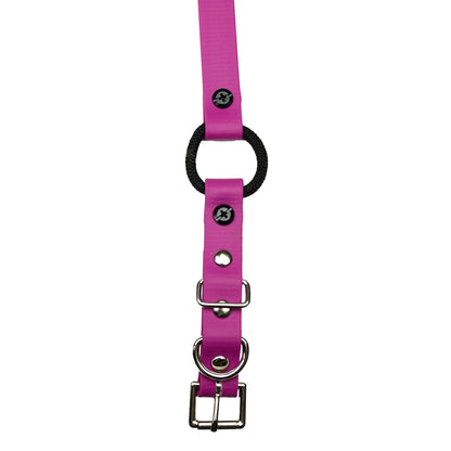 E-Collar Technologies 33" Biothane Collar with Buckle and Bungee