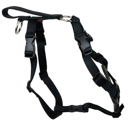 Nylon and Leather Harness