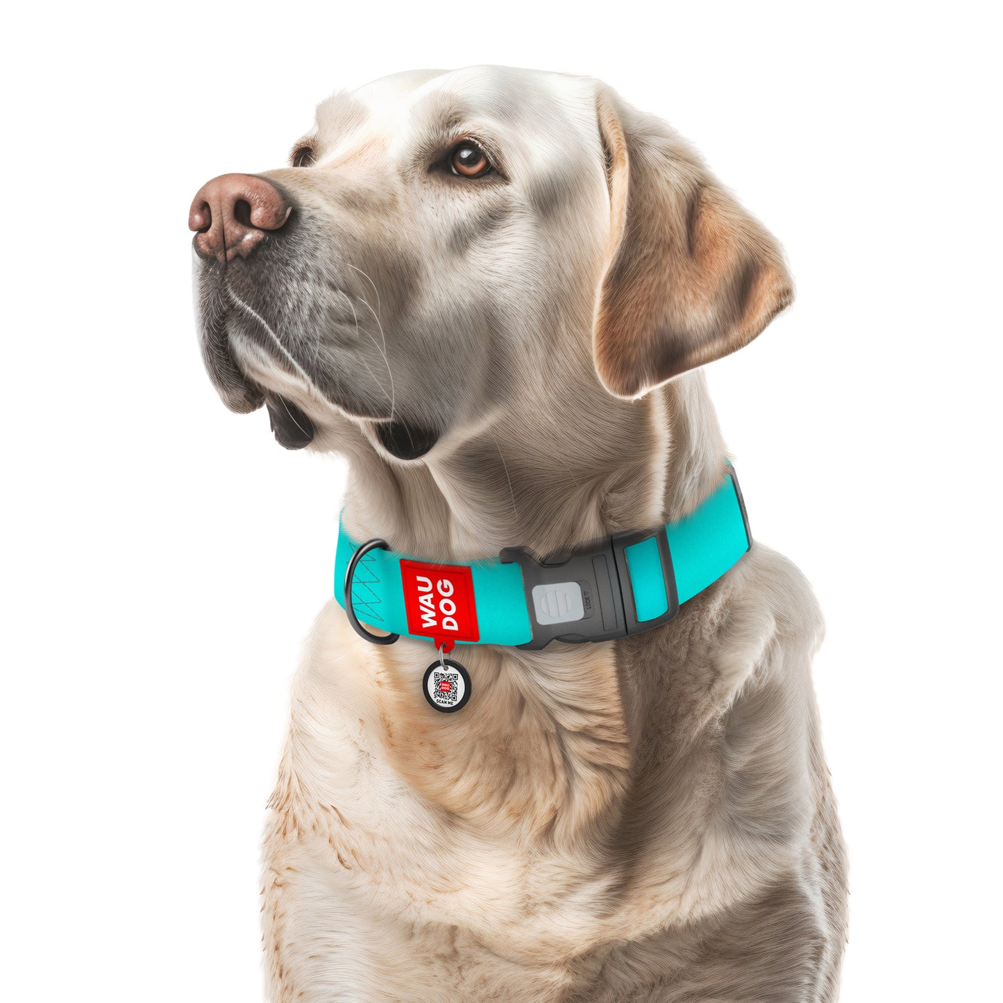 Waudog Glow in The Dark Collar