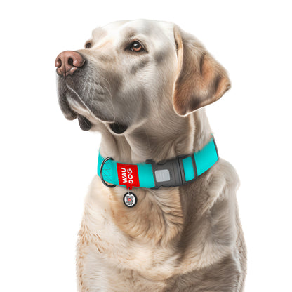 Waudog Glow in The Dark Collar