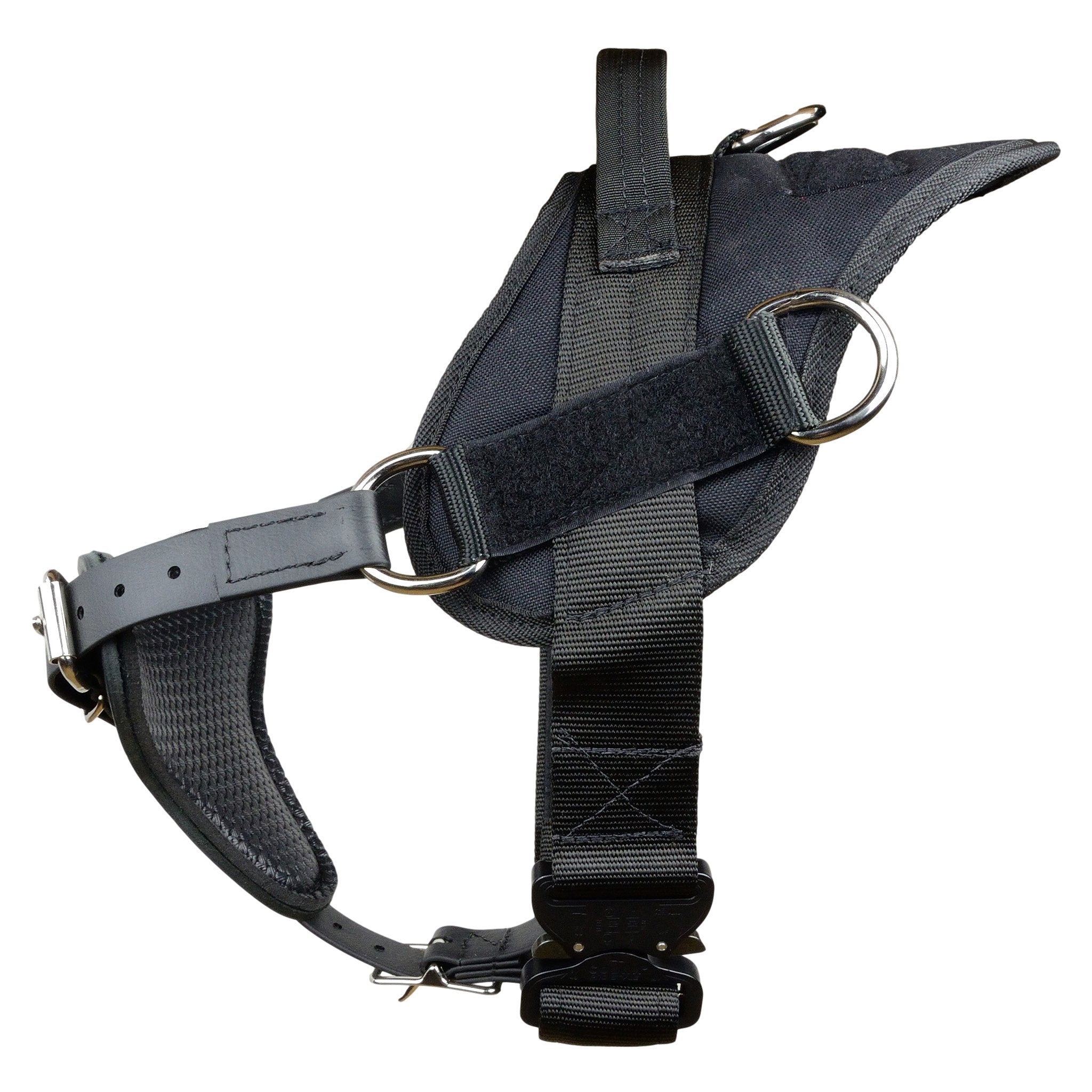 Cobra buckle shop dog harness